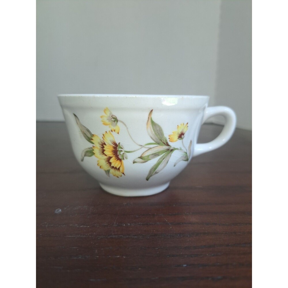 Vintage 1930s-1950s Mt Clemens Indian Blanket Porcelain Teacup